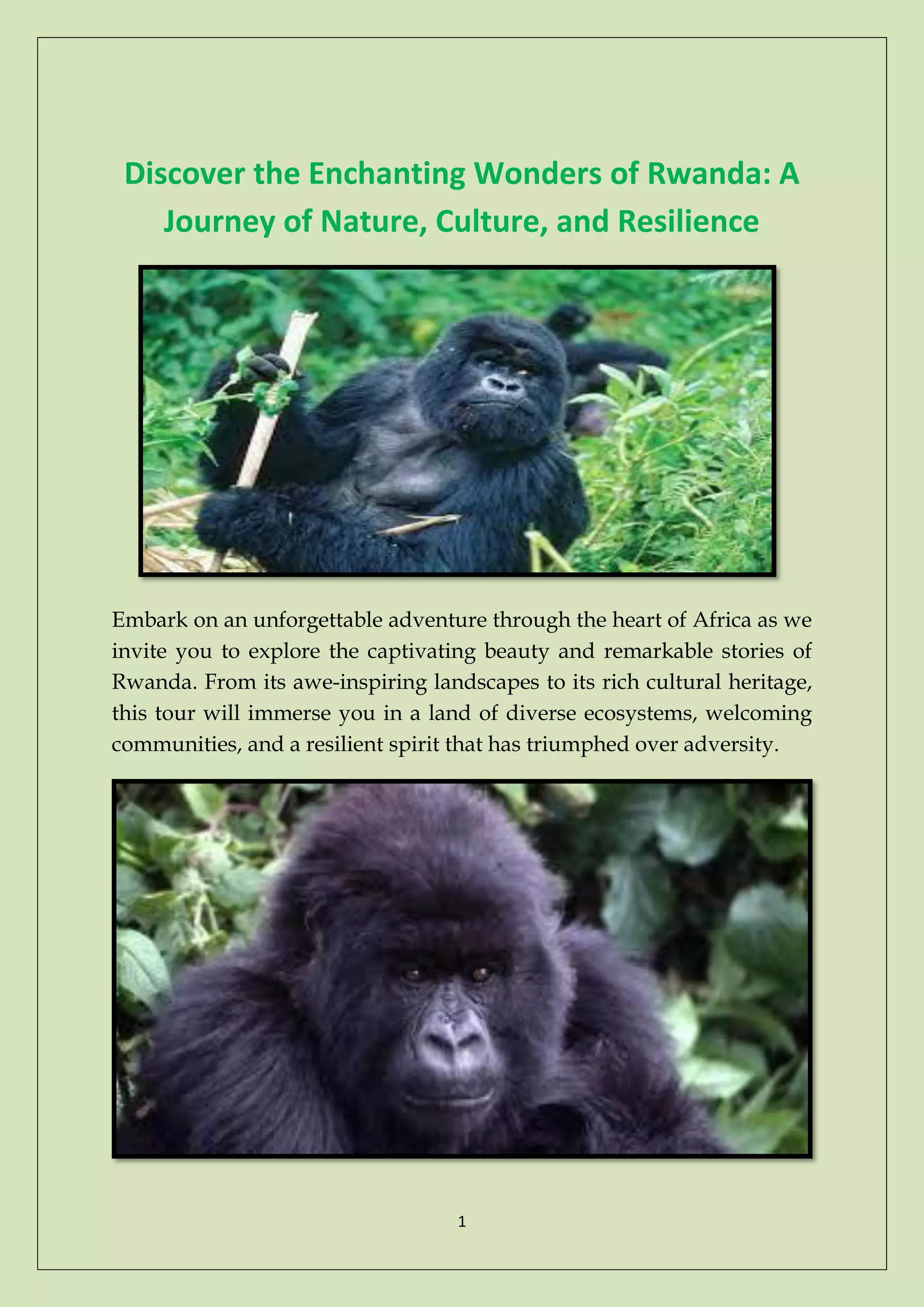 Discover the Enchanting Wonders of Rwanda: A Journey of Nature, Culture 