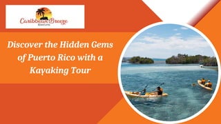 Discover the Hidden Gems
of Puerto Rico with a
Kayaking Tour
 