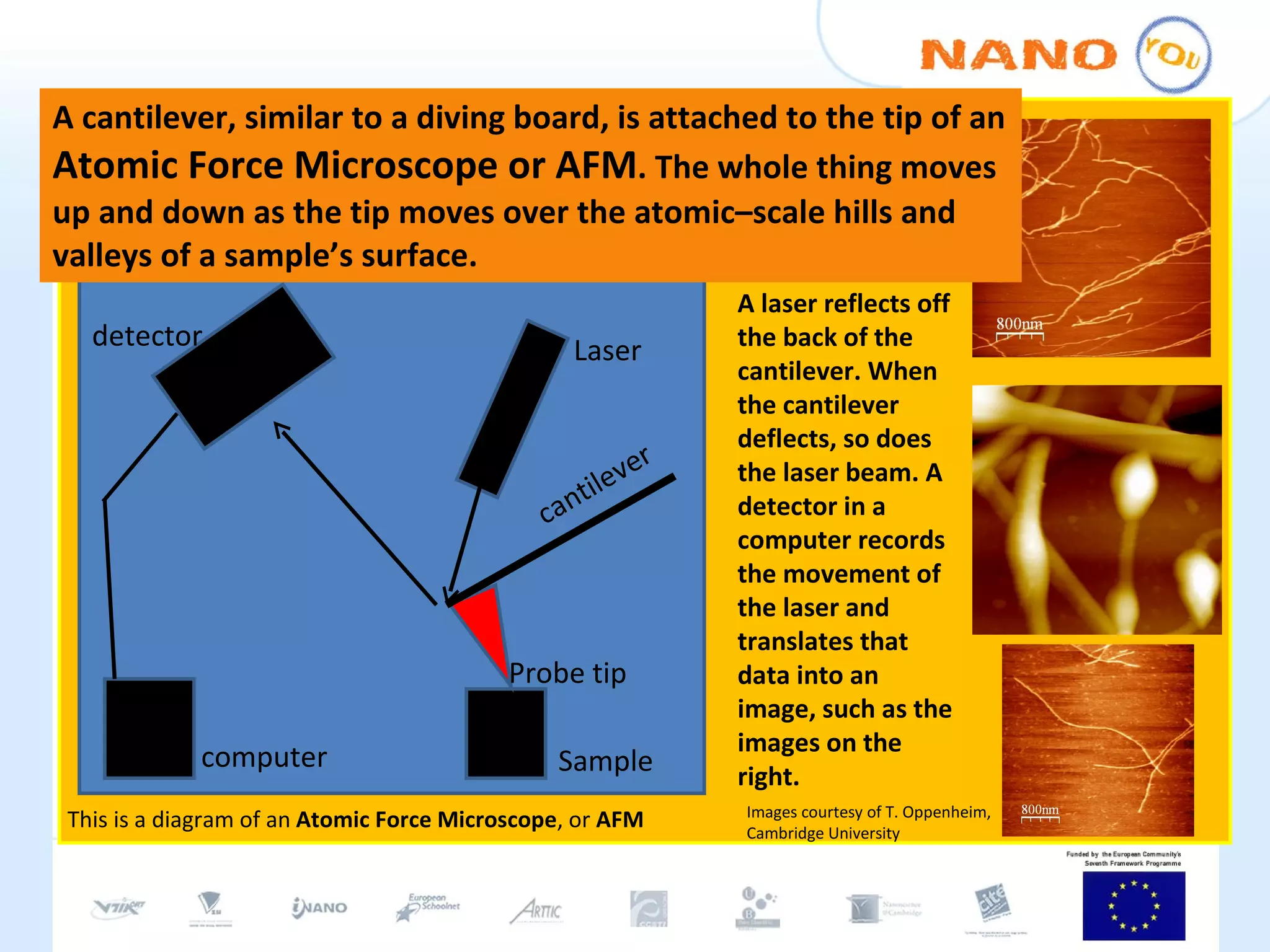 A cantilever, similar to a diving board, is attached to the tip of an  Atomic Force Microscope or AFM . The whole thing moves up and down as the tip moves over the atomic–scale hills and valleys of a sample’s surface. A laser reflects off the back of the cantilever. When the cantilever deflects, so does the laser beam. A detector in a computer records the movement of the laser and translates that data into an image, such as the images on the right. cantilever Laser detector computer Sample Probe tip This is a diagram of an  Atomic Force Microscope , or  AFM Images courtesy of T. Oppenheim, Cambridge University 