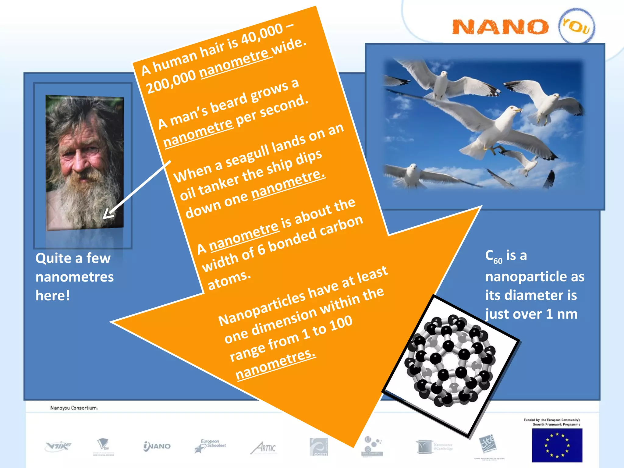 A human hair is 40,000 – 200,000  nanometre  wide. A man’s beard grows a  nanometre  per second. When a seagull lands on an oil tanker the ship dips down one  nanometre. A  nanometre  is about the width of 6 bonded carbon atoms. Nanoparticles have at least one dimension within the range from 1 to 100  nanometres. Quite a few nanometres here! C 60  is a nanoparticle as its diameter is just over 1 nm 