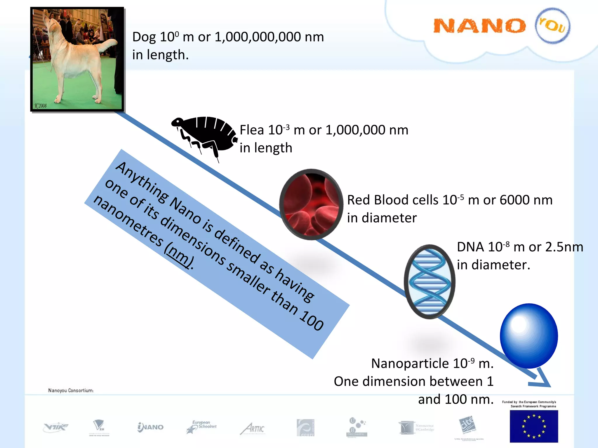 Flea 10 -3  m or 1,000,000 nm in length Red Blood cells 10 -5  m or 6000 nm in diameter DNA 10 -8  m or 2.5nm in diameter. Nanoparticle 10 -9  m. One dimension between 1 and 100 nm. Anything Nano is defined as having one of its dimensions smaller than 100 nanometres ( nm) . Dog 10 0  m or 1,000,000,000 nm in length. 