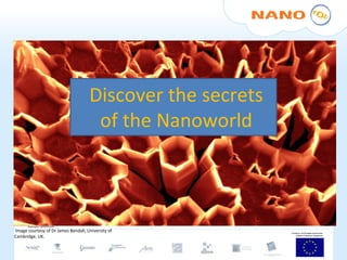 h Discover the secrets of the Nanoworld Image courtesy of Dr James Bendall, University of Cambridge, UK. 
