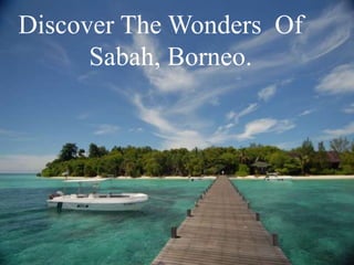 Discover The Wonders Of
      Sabah, Borneo.
 