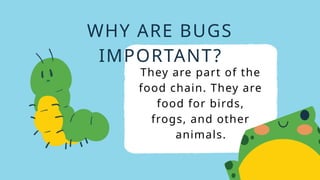 Discover The World Of Bugs And Friends Education Presentation In ...