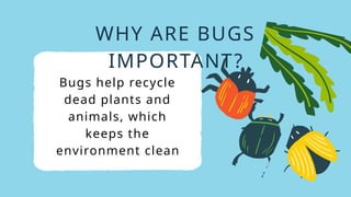 Discover The World Of Bugs And Friends Education Presentation In ...