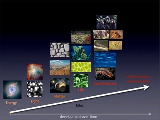 The EnlightenNext Discovery Cycle