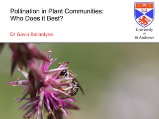 Pollination in Plant Communities:
Who Does it Best?
Dr Gavin Ballantyne
 
