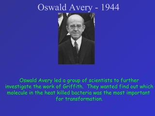 Oswald Avery - 1944
Oswald Avery led a group of scientists to further
investigate the work of Griffith. They wanted find out which
molecule in the heat killed bacteria was the most important
for transformation.
 