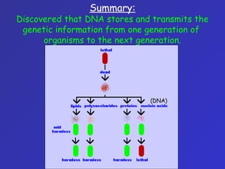 Summary:
Discovered that DNA stores and transmits the
genetic information from one generation of
organisms to the next generation.
(DNA)
 