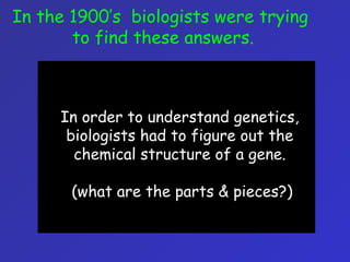In the 1900’s biologists were trying
to find these answers.
In order to understand genetics,
biologists had to figure out the
chemical structure of a gene.
(what are the parts & pieces?)
 