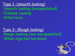 Type 2- (Rough looking)
•Rough looking (non-encapsulated)
•When injected harmless
Type 1- (smooth looking)
•Smooth looking (encapsulated)
•Disease causing
•Killed mice
 