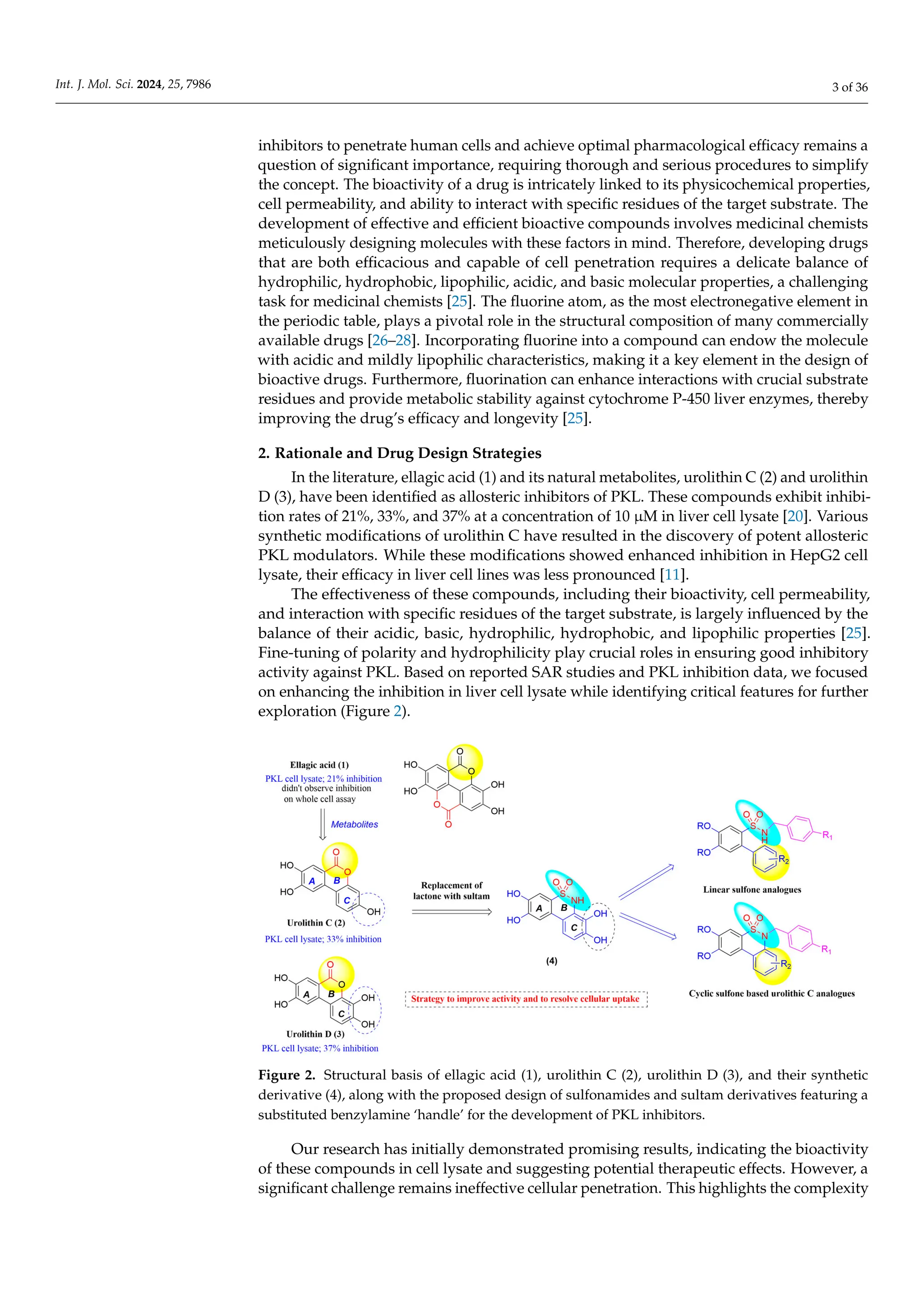 Discovery of Cell-Permeable Allosteric Inhibitors of Liver Pyruvate ...