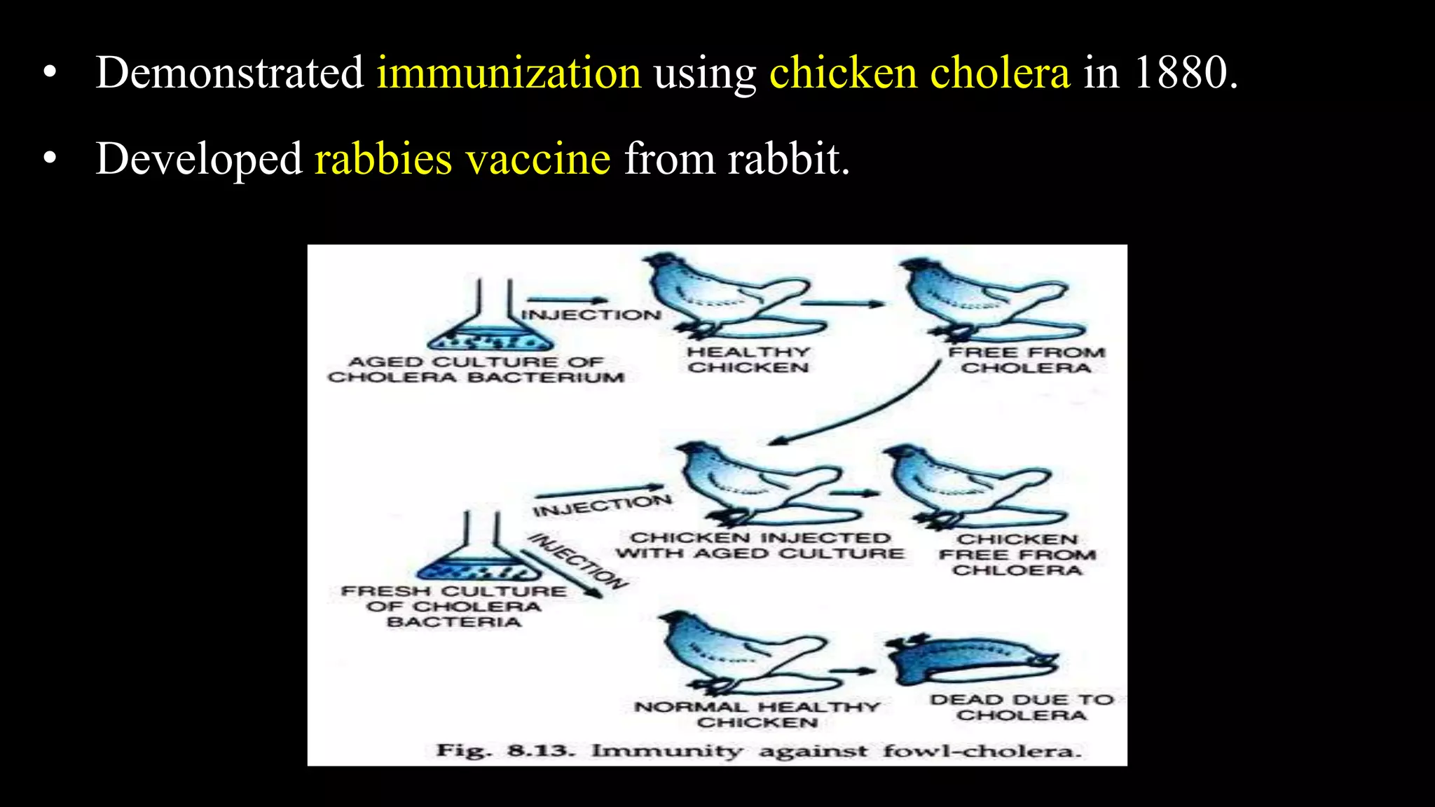• Demonstrated immunization using chicken cholera in 1880.
• Developed rabbies vaccine from rabbit.
 
