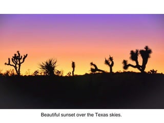 Beautiful sunset over the Texas skies.
 