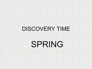 DISCOVERY TIME SPRING 