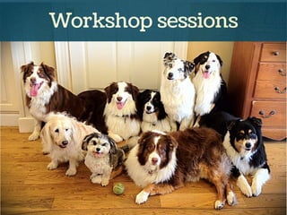 Workshop sessions
 