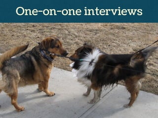 One-on-one interviews
 