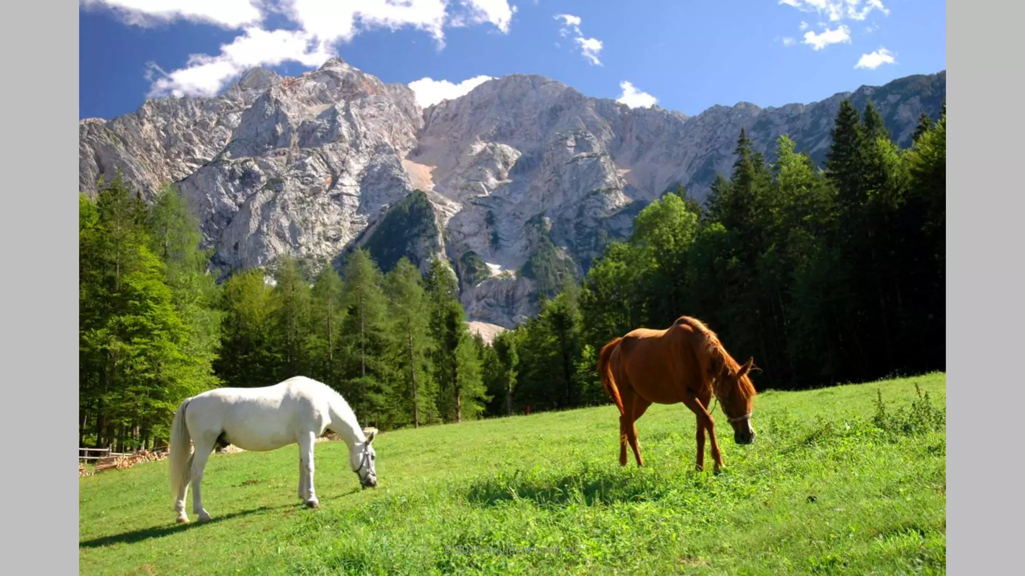 © 2020 BrandForward, Inc.
 