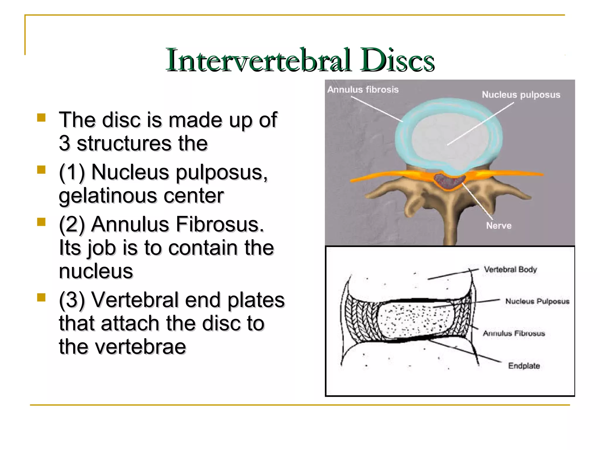 Disc prolapse and degenerative changes | PPT