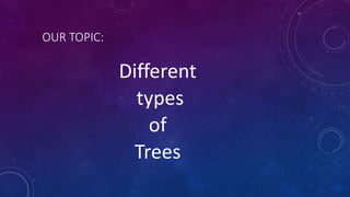 Discrete mathematics | PPTX