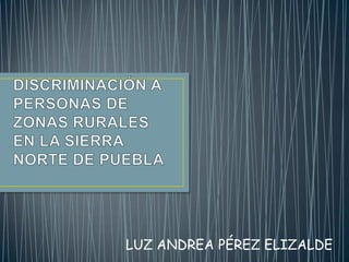 LUZ ANDREA PÉREZ ELIZALDE
 