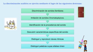 Distinguir palabras cuyas sílabas rimen
Distinguir y reproducir claves rítmicas
Descubrir características específicas del sonido
Identificación de la procedencia del sonido
Imitación de sonidos Onomatopéyicos.
Discriminación de sonidos familiares
La discriminación auditiva se ejercita mediante el logro de las siguientes destrezas:
 