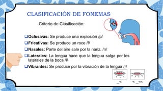 CLASIFICACIÓN DE FONEMAS
Criterio de Clasificación:
Oclusivas: Se produce una explosión /p/
Fricativas: Se produce un roce /f/
Nasales: Parte del aire sale por la nariz. /n/
Laterales: La lengua hace que la lengua salga por los
laterales de la boca /l/
Vibrantes: Se produce por la vibración de la lengua /r/
 