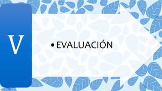 •EVALUACIÓN
V
 