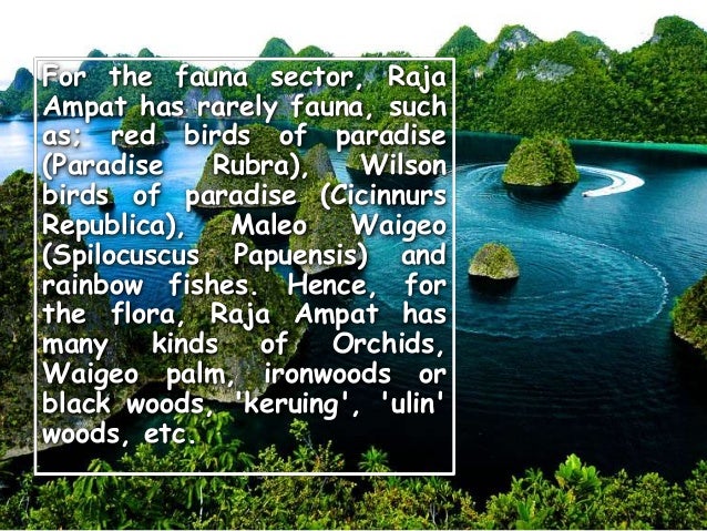 Descriptive Text Raja Ampat Island