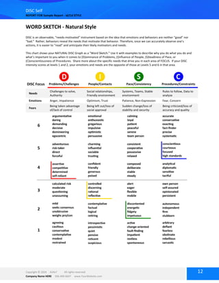 DISC Assesment (questions and the results) | PDF