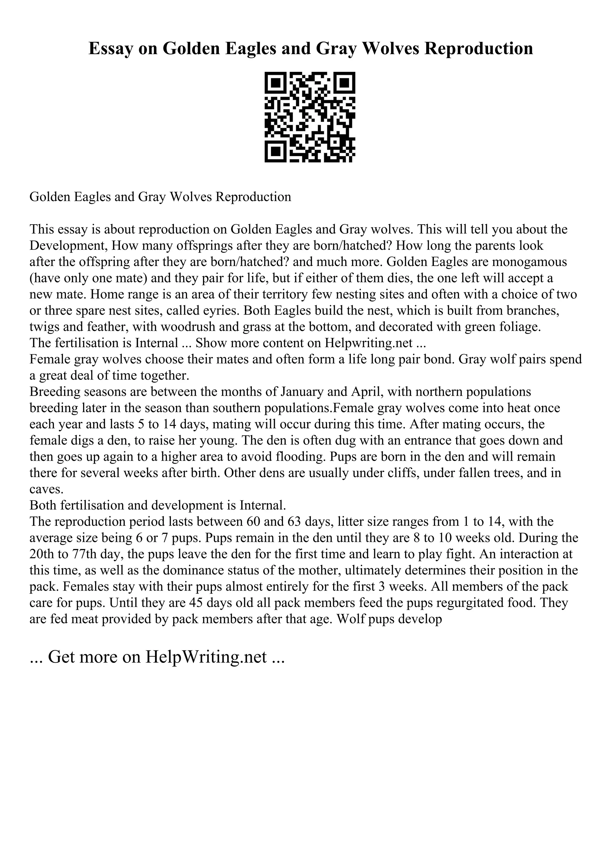 Essay on Golden Eagles and Gray Wolves Reproduction
Golden Eagles and Gray Wolves Reproduction
This essay is about reproduction on Golden Eagles and Gray wolves. This will tell you about the
Development, How many offsprings after they are born/hatched? How long the parents look
after the offspring after they are born/hatched? and much more. Golden Eagles are monogamous
(have only one mate) and they pair for life, but if either of them dies, the one left will accept a
new mate. Home range is an area of their territory few nesting sites and often with a choice of two
or three spare nest sites, called eyries. Both Eagles build the nest, which is built from branches,
twigs and feather, with woodrush and grass at the bottom, and decorated with green foliage.
The fertilisation is Internal ... Show more content on Helpwriting.net ...
Female gray wolves choose their mates and often form a life long pair bond. Gray wolf pairs spend
a great deal of time together.
Breeding seasons are between the months of January and April, with northern populations
breeding later in the season than southern populations.Female gray wolves come into heat once
each year and lasts 5 to 14 days, mating will occur during this time. After mating occurs, the
female digs a den, to raise her young. The den is often dug with an entrance that goes down and
then goes up again to a higher area to avoid flooding. Pups are born in the den and will remain
there for several weeks after birth. Other dens are usually under cliffs, under fallen trees, and in
caves.
Both fertilisation and development is Internal.
The reproduction period lasts between 60 and 63 days, litter size ranges from 1 to 14, with the
average size being 6 or 7 pups. Pups remain in the den until they are 8 to 10 weeks old. During the
20th to 77th day, the pups leave the den for the first time and learn to play fight. An interaction at
this time, as well as the dominance status of the mother, ultimately determines their position in the
pack. Females stay with their pups almost entirely for the first 3 weeks. All members of the pack
care for pups. Until they are 45 days old all pack members feed the pups regurgitated food. They
are fed meat provided by pack members after that age. Wolf pups develop
... Get more on HelpWriting.net ...
 
