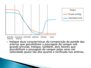  Indique duas características da composição da parede das 
artérias que possibilitam a passagem do sangue sob 
grande pressão. Indique, também, dois fatores que 
possibilitam a passagem do sangue pelas veias em 
velocidade quase tão alta quanto a verificada nas artérias. 
 