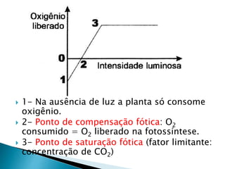  1- Na ausência de luz a planta só consome 
oxigênio. 
 2- Ponto de compensação fótica: O2 
consumido = O2 liberado na fotossíntese. 
 3- Ponto de saturação fótica (fator limitante: 
concentração de CO2) 
 