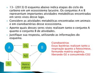  13- (2013) O esquema abaixo indica etapas do ciclo do 
carbono em um ecossistema lacustre. Os conjuntos A e B 
representam importantes atividades metabólicas encontradas 
em seres vivos desse lago. 
 Considere as atividades metabólicas encontradas em animais 
e em cianobactérias desse ecossistema. 
 Aponte quais desses seres vivos realizam tanto o conjunto A 
quanto o conjunto B de atividades. 
 Justifique sua resposta, utilizando as informações do 
esquema. 
Cianobactérias 
Essas bactérias realizam tanto a 
respiração quanto a fotossíntese, 
formando matéria orgânica, 
liberando O2 e consumindo CO2 
 