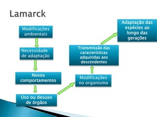 Modificações 
ambientais 
Necessidade 
de adaptação 
Novos 
comportamentos 
Uso ou desuso 
de órgãos 
Transmissão das 
características 
adquiridas aos 
descendentes 
Modificações 
no organismo 
Adaptação das 
espécies ao 
longo das 
gerações 
 