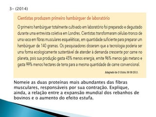 Nomeie as duas proteínas mais abundantes das fibras 
musculares, responsáveis por sua contração. Explique, 
ainda, a relação entre a expansão mundial dos rebanhos de 
bovinos e o aumento do efeito estufa. 
 
