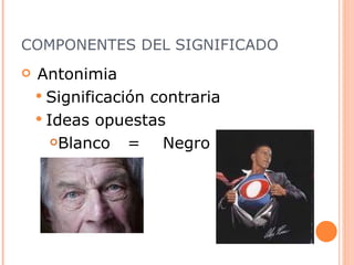 COMPONENTES DEL SIGNIFICADO Antonimia  Significación contraria Ideas opuestas  Blanco  = Negro 