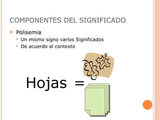 COMPONENTES DEL SIGNIFICADO Polisemia Un mismo signo varios Significados De acuerdo al contexto Hojas = 
