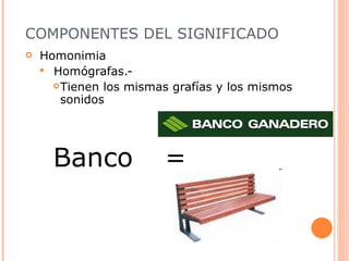 COMPONENTES DEL SIGNIFICADO Homonimia  Homógrafas.-  Tienen los mismas grafías y los mismos sonidos Banco = 