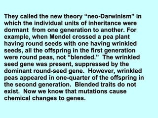 They called the new theory “neo-Darwinism” in which the individual units of inheritance were dormant  from one generation to another. For example ,  when Mendel crossed a pea plant having round seeds with one having wrinkled seeds, all the offspring in the first generation were round peas, not “blended.”  The wrinkled seed gene was present, suppressed by the dominant round-seed gene.  However, wrinkled peas appeared in one-quarter of the offspring in the second generation.  Blended traits do not exist.  Now we know that mutations cause chemical changes to genes.   