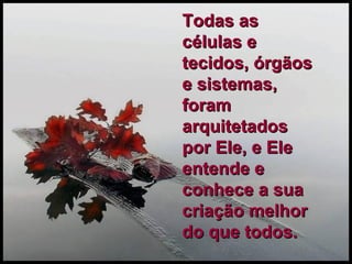 Todas as células e tecidos, órgãos e sistemas, foram arquitetados  por Ele, e Ele entende e conhece a sua criação melhor do que todos. 