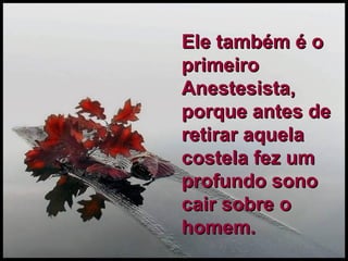 Ele também é o primeiro Anestesista, porque antes de retirar aquela costela fez um profundo sono cair sobre o homem. 