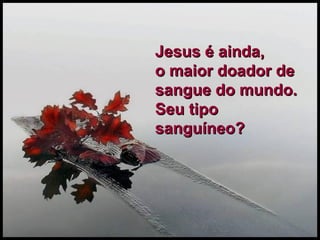 Jesus é ainda,  o maior doador de sangue do mundo.  Seu tipo sanguíneo?   