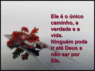 Ele é o único caminho, a verdade e a vida.  Ninguém pode ir até Deus a não ser por Ele.   