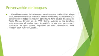 Preservación de bosques
 …“Con el buen manejo de los bosques, garantizamos su productividad a largo
plazo, el mantenimiento de su riqueza forestal -maderable y no maderable- y la
conservación de todos sus recursos como fauna, flora, cauces de agua”; dijo
Adolfo Moreno, Director a.i. de WWF Bolivia. “Además de los beneficios
importantes para el hombre, como la provisión de aire puro, producción y
purificación de agua potable, regulación del clima -temperatura, lluvia,
radiación solar, humedad”, acotó…
 
