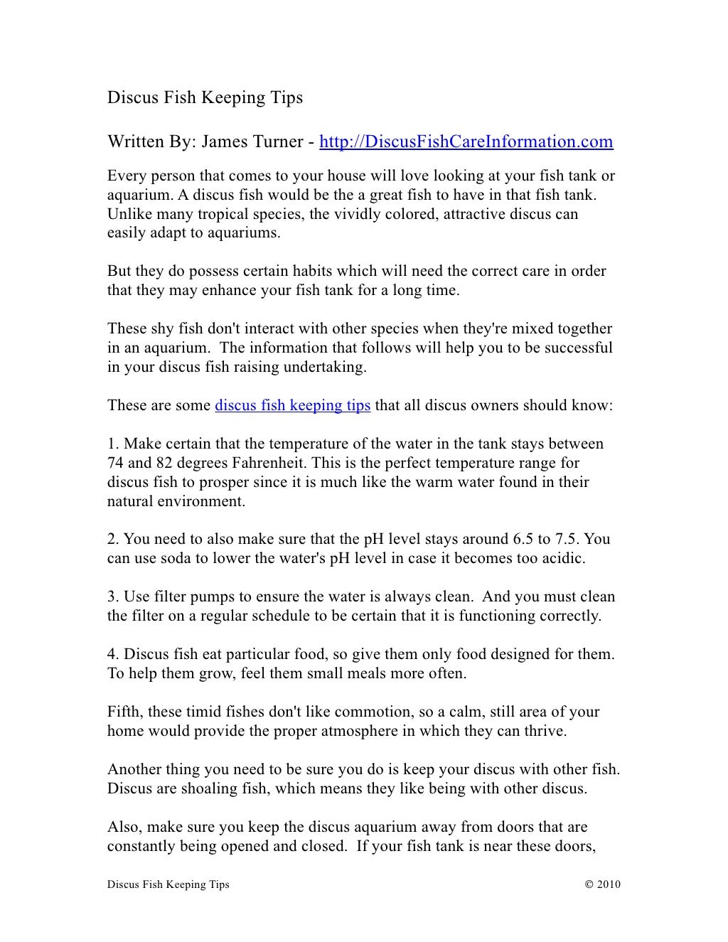 Discus Fish Keeping Tips