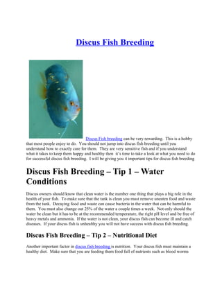 Discus Fish Breeding