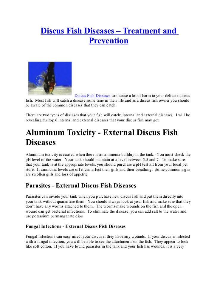 Discus fish diseases