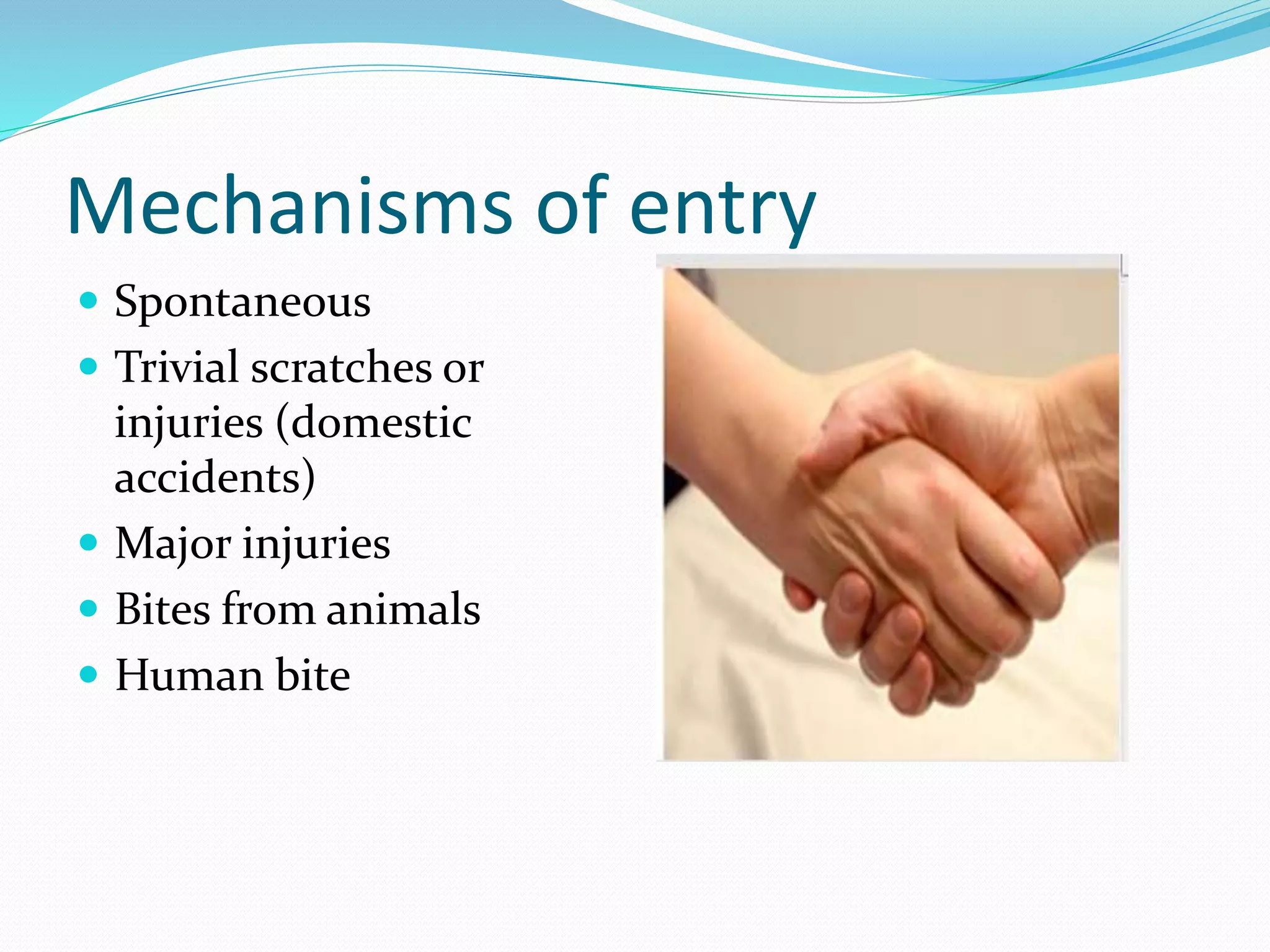 Mechanisms of entry
 Spontaneous
 Trivial scratches or
injuries (domestic
accidents)
 Major injuries
 Bites from animals
 Human bite
 