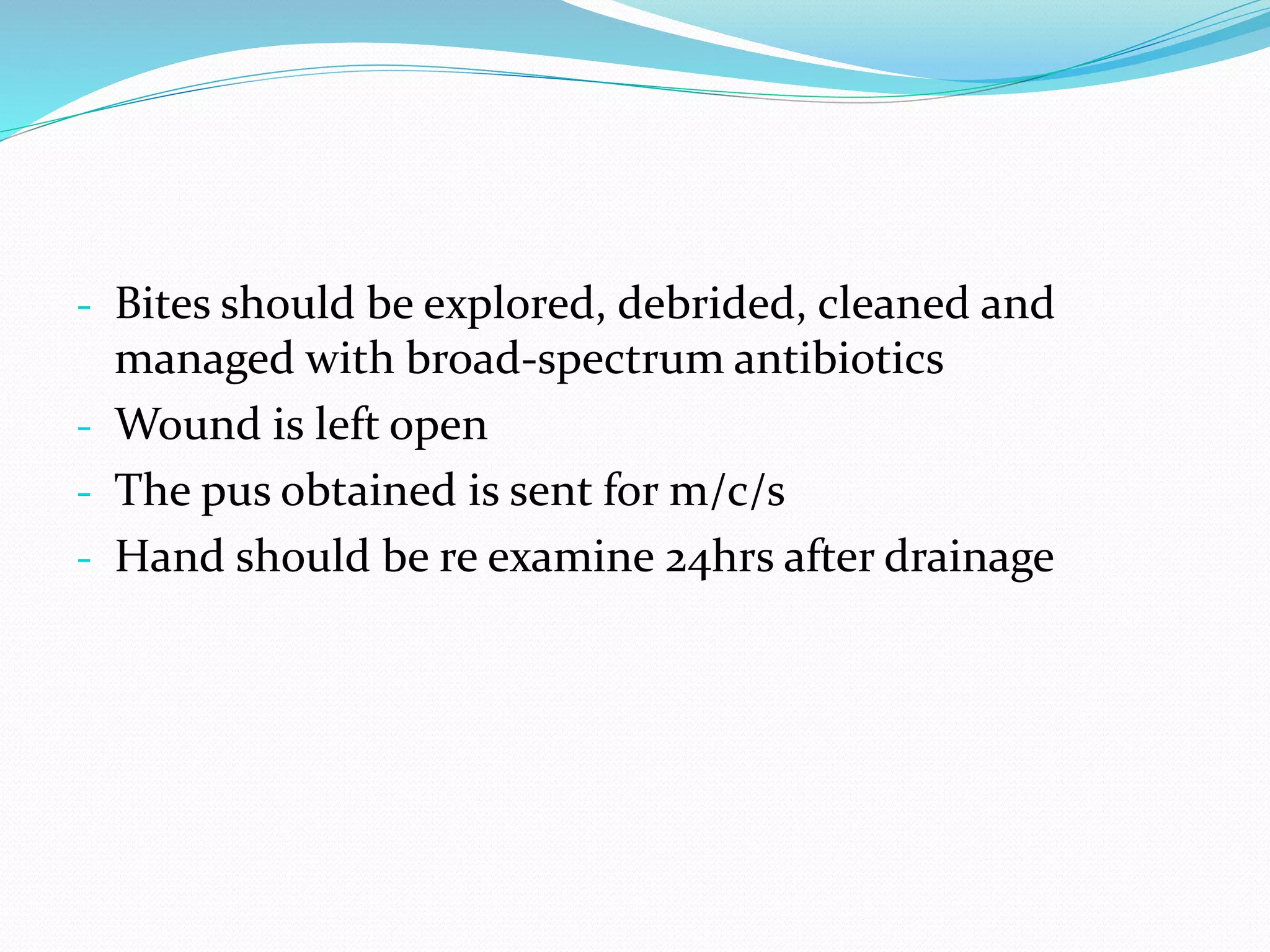 - Bites should be explored, debrided, cleaned and
managed with broad-spectrum antibiotics
- Wound is left open
- The pus obtained is sent for m/c/s
- Hand should be re examine 24hrs after drainage
 
